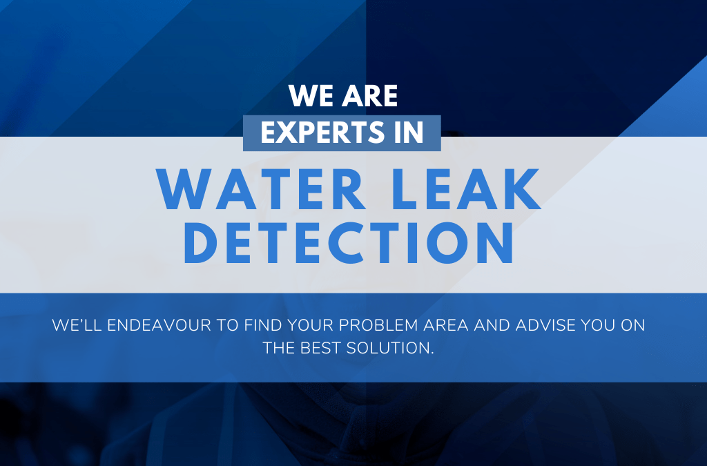 Commercial Water Leak Detection Services